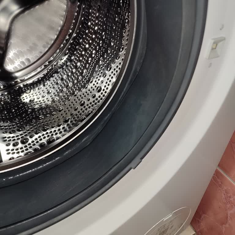 Bosch Çamaşır Makinesinde Kötü Koku Ve Yumuşatıcı Problemi