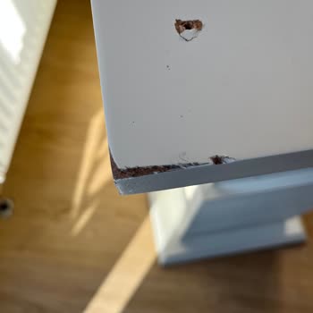 Profesyonellikten Uzak Hizmet Ve Tehditkâr Davranışlar