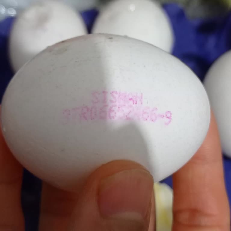 Aldığım Yumurtalar Kırık Ve Bozuk Çıktı, Müşteri Hizmetleri De Dönüş Yapmadı