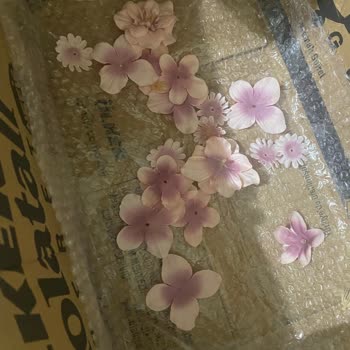 Nişan Öncesi Kırık Ürün Ve İlgisiz Müşteri Hizmeti