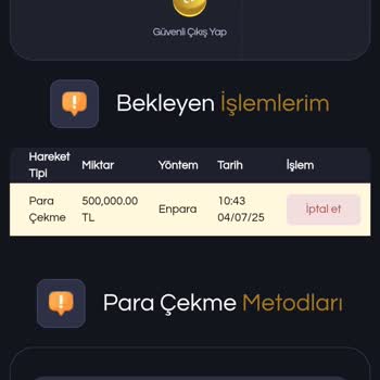 Wisaroyal Kazanç Çekimi Sorunu Ve Destek Eksikliği