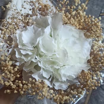 Sipariş Ettiğim Gelin Çiçeği Görselden Çok Farklı Geldi