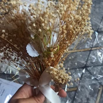 Sipariş Ettiğim Gelin Çiçeği Görselden Çok Farklı Geldi