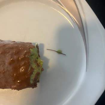 Meine Tochter fand ein Metallstück in Magnum Dubai Schokolade