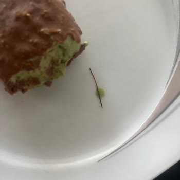 Meine Tochter fand ein Metallstück in Magnum Dubai Schokolade