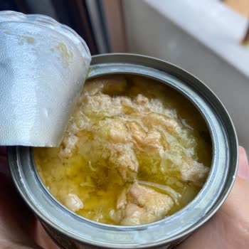 Superfresh Ton Balığında Bozulmuş Ve Katmanlı Ürün Hayal Kırıklığı