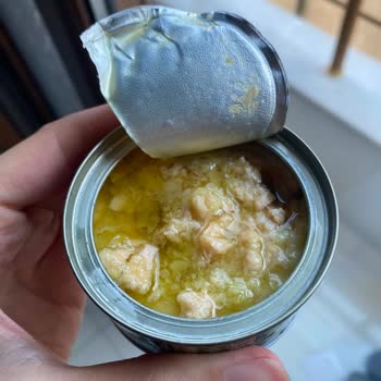 Superfresh Ton Balığında Bozulmuş Ve Katmanlı Ürün Hayal Kırıklığı