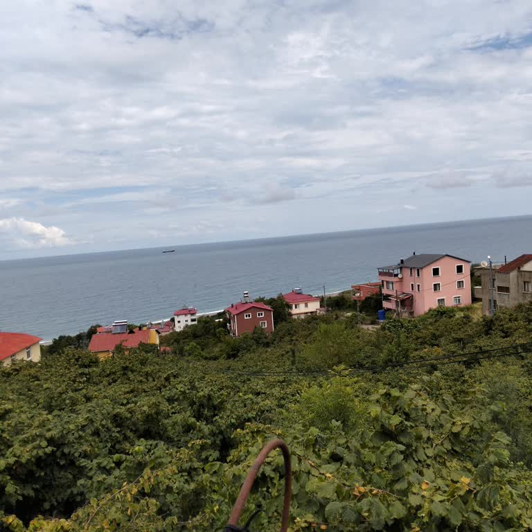 Diş Sağlığı Merkezinde İlgisizlik Ve Uzun Randevu Süreleri