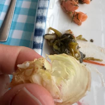 Beş Yıldızlı Otelde Temizlik Ve Hizmet Hayal Kırıklığı