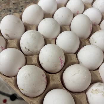 Aldığım Yumurtalarda Kötü Koku Ve Kalitesizlik Şoku