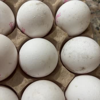 Aldığım Yumurtalarda Kötü Koku Ve Kalitesizlik Şoku