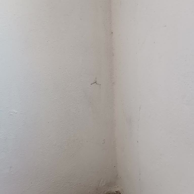 Diyanet İşleri Başkanlığı İbadet Yerinde Temizlik Eksikliği Rahatsız Ediyor