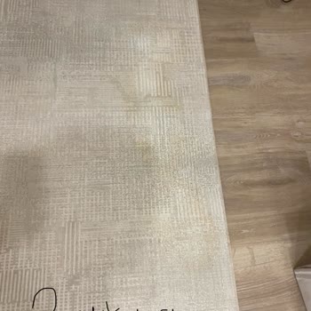 Halılar Kirli Teslim Edildi, Müşteri Memnuniyeti Sağlanmadı