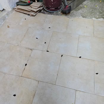 Ich kämpfe mit Booking.com um Rückerstattung nach verrotteter Unterkunft voller Kakerlaken