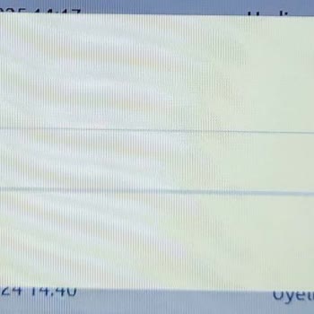Oley.com'da Artan Hatalar Ve Yetersiz Müşteri Desteği Nedeniyle Yaşanan Mağduriyet