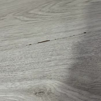 Anadolu Sigorta Konut Sigortasında Su Hasarı Reddi Mağduriyeti