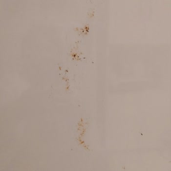 Buzdolabımın Çürümesine Rağmen Çözüm Sunulmadı