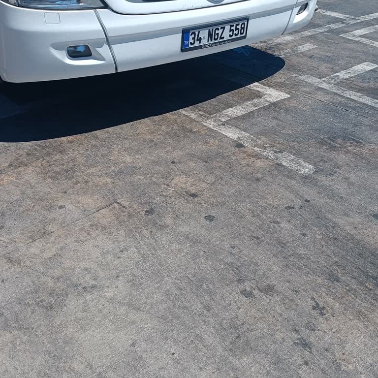 Otobüs Yolculuğunda Şoför Ve Muavin Davranışları, Hijyen Ve Hizmet Eksikliği