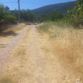 Balıkesir Büyükşehir Belediyesi Asfaltlama Yapılmaması