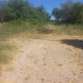 Balıkesir Büyükşehir Belediyesi Asfaltlama Yapılmaması