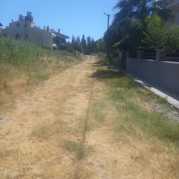 Balıkesir Büyükşehir Belediyesi Asfaltlama Yapılmaması