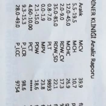 Satın Aldığım Yavru Kedinin Ölümünde Sorumluluk Alınmadı