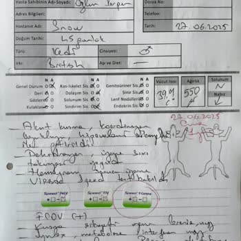 Satın Aldığım Yavru Kedinin Ölümünde Sorumluluk Alınmadı