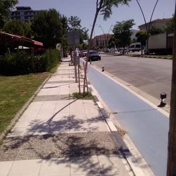 Beklenen Otobüs Gelmedi, Sorumluluk Alınmadı