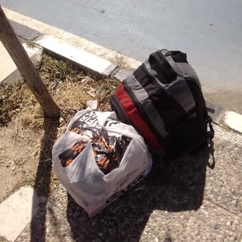 Beklenen Otobüs Gelmedi, Sorumluluk Alınmadı