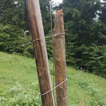 Kırık Elektrik Direkleri Ve İlgisizlik Nedeniyle Mahallemizde Sürekli Elektrik Kesintisi Ve Yangın Riski