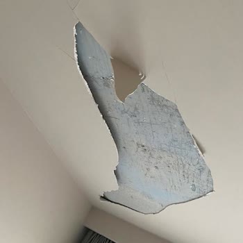 Teslimden Sonra Sürekli Tavan Alçısı Dökülmesi Ve İlgisiz Müşteri Hizmetleri