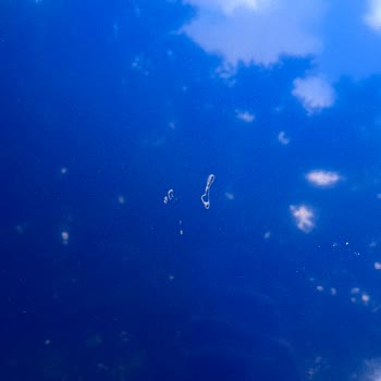 Faturasız İşlem Ve Garanti İhlali Nedeniyle Mağduriyet