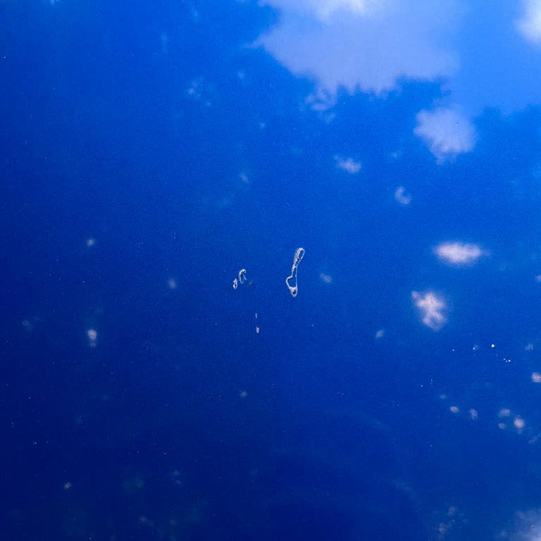 Faturasız İşlem Ve Garanti İhlali Nedeniyle Mağduriyet