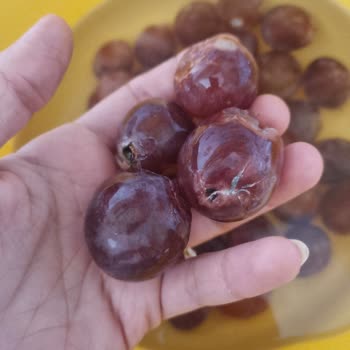 Migros Hemen Siparişlerinde Sürekli Bozuk Ve Kalitesiz Ürün Gönderiliyor