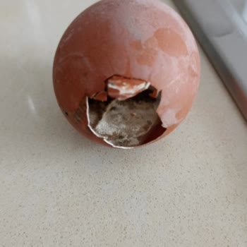 BİM'den Aldığım Bozuk Yumurtalar İçin İade Sorunu