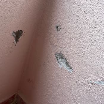 Filli Boya İle Boyanan Binada Dökülme Ve Kabarma Sorunu