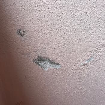 Filli Boya İle Boyanan Binada Dökülme Ve Kabarma Sorunu