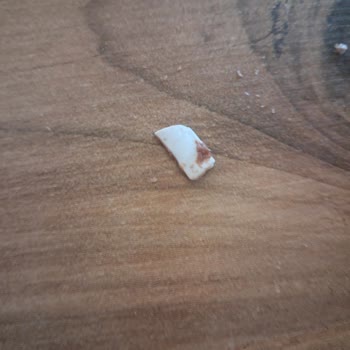 Torku Gofretin İçinden Çıkan Plastik Parçası Şok Etti