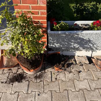 Yurtiçi Kargo Teslimat Sırasında Saksım Kırıldı, Zararım Karşılanmadı