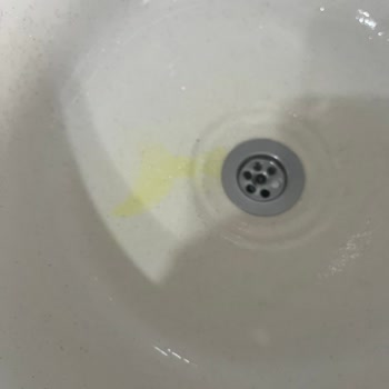 Dondurma Lekesi Halıdan Ve Lavabodan Çıkmıyor, Mağduriyetimin Giderilmesini İstiyorum