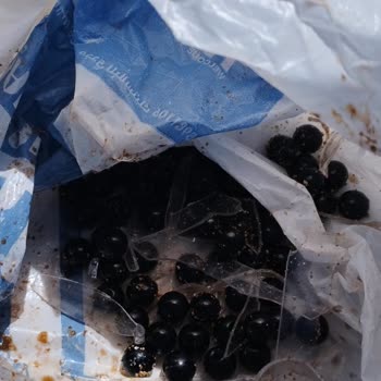 Bagajım Parçalandı, Eşyalarım Zarar Gördü Ve Geri Dönüş Alamadım