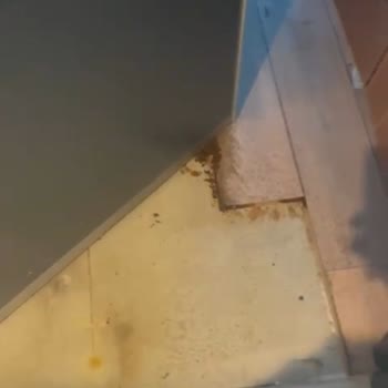 Ofis Tavanından İki Yıldır Su Akıyor Çözüm Sunulmuyor