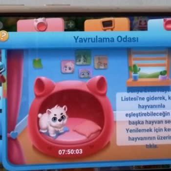 Çiftlik Sahil Oyununda Ücretsiz Oyunculara Ayrımcılık Ve Telafi Sorunu