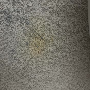 Kedi Tuvaleti Sorunu Çözülmedi, Değişim Talep Ediyorum