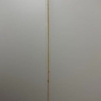 Kedi Tuvaleti Sorunu Çözülmedi, Değişim Talep Ediyorum