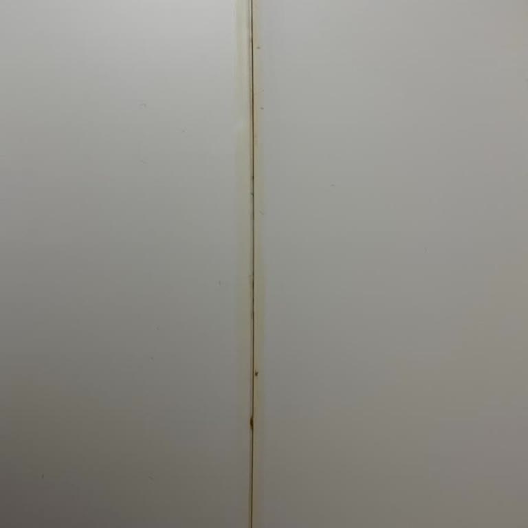 Kedi Tuvaleti Sorunu Çözülmedi, Değişim Talep Ediyorum