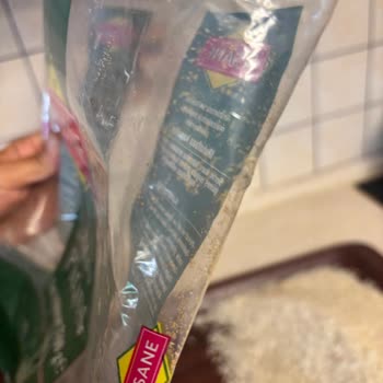 Efsane Baldo Pirinçte Kurt Şoku