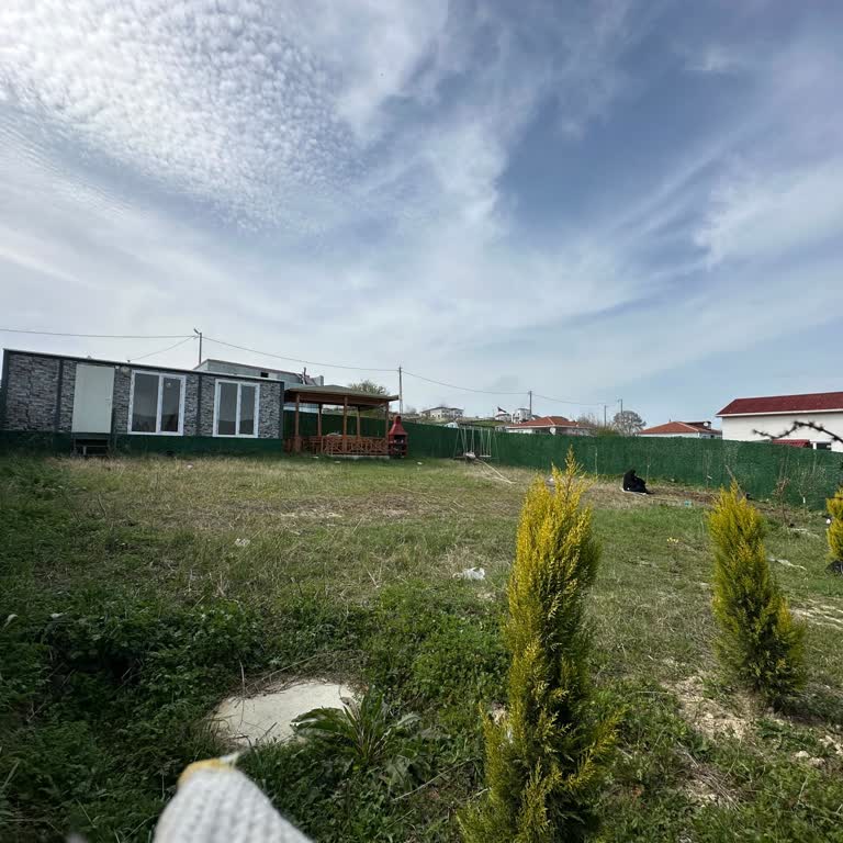 Çiftlikköy'de Artan Sivrisinek Sorunu Ve Sağlık Riski