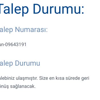 Kayıp Valizim Nedeniyle Tatilim Mağduriyetle Başladı