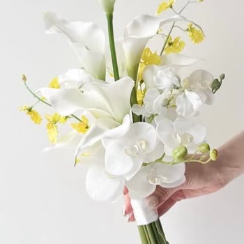 Siparişimde Hayal Kırıklığı Ve İletişim Sorunu